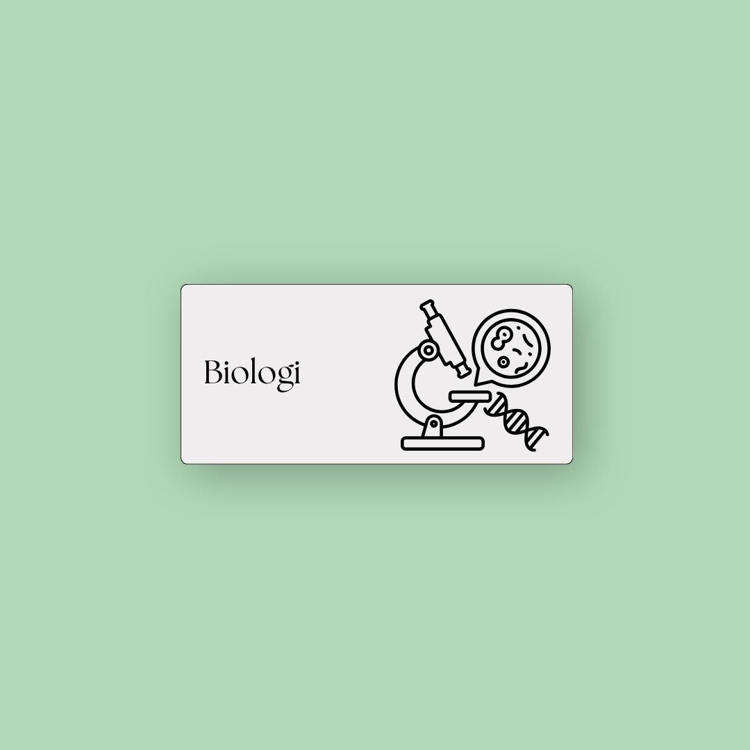 ToDoodle Skemabrikker
